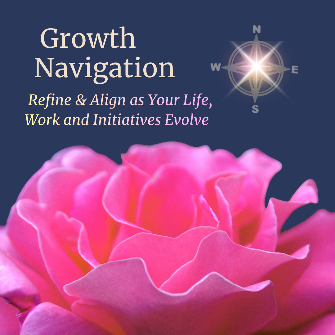 Soul Navigation - Refine & Align As Your Life, Work and Initiatives Evolve